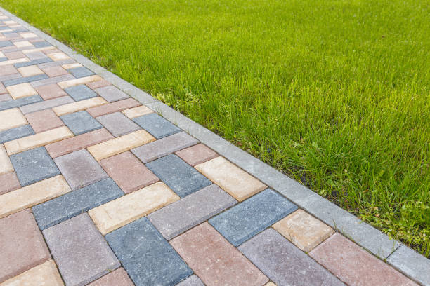 Best Local Driveway Pavers  in , DE